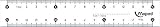 Maped M146507 - Lineal 15 cm