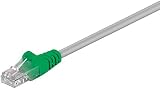 Wentronic CAT 5-500 UTP SB Patchkabel Kat5e UTP grau 5.0 m