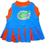 Mirage Florida Gators Cheer Leading