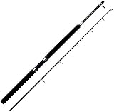 ABU GARCIA Garcia GT Boat Baitcastruten