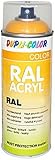Dupli-Color 349775 RAL-Acryl-Spray 8017