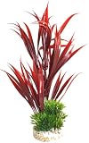 Sydeco Aquariumpflanze Aqua Sword Leaves Plant