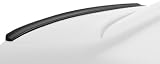 RDX Racedesign RDHL020 Hecklippe