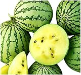 Gelbe Ananas-Melone -Wassermelone- 10 Samen