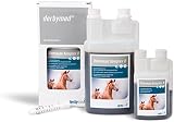 derbymed Viverosan Komplex B 1000ml für Pferde zur Vitaminversorgung von Livisto