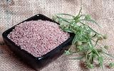 Naturix24 – Flohsamen indisch ganz