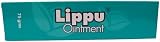 Lippu Salbe (Ayurvedische Creme bei Ekzeme) 75g