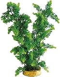 Haquoss Phytos 32 Kunststoffpflanze für Süßwasser und Terrarien
