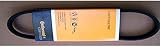 CONTITECH 4PK592 ELAST Keilrippenriemen