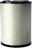 Donaldson P781398 Radialseal Filter Dell’aria