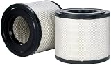 Donaldson P603755 Radialseal Filter Dell’aria