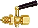 RIEGLER 102650-9009/ES Manometer-Absperrhahn