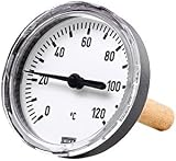Riegler Zeigerthermometer für Heizungsanlagen