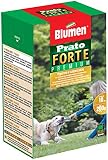 Blumen Forte 200 g grün
