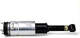 Arnott Air Suspension AS-2809 Air Suspension Strut Assembly by Arnott