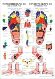 Ruediger Anatomie MIPOPHYSVIILAM Reflexzonen Fuß Tafel