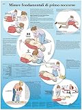 3B Scientific Lehrtafel