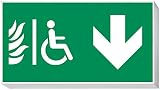 daisalux Lisu – Panel Notfall Oberfläche lisu-n rtd1352 grau silber