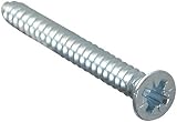 Forgefix selbstschneidende Schraube Pozi Csk ZP 1.1/2in x 8 Forge 12 Stück