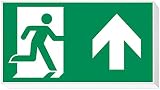 daisalux Lisu – Panel Notfall Oberfläche lisu-n rtd1331 weiß