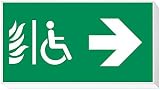 daisalux Lisu – Panel Notfall Oberfläche lisu-n rtd1350 weiß
