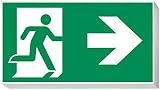 daisalux Lisu – Panel Notfall Oberfläche lisu-n rtd1328 grau silber