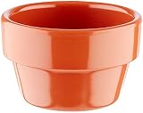 APS 84471 FLOWER POT Melamin Schale
