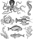 Art Gone Wild AGCMS304 Tim Holtz Sea Life Stempel-Set