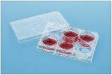 Corning Falcon 353502 6 Well Plate mit Lid