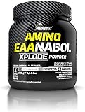 AMINO EAA XPLODE POWDER