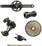 Sram XX1 Eagle Dub 6-teiliges Gruppenset Gold