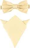 Ladeheid Herren Schmale Fliege & Einstecktuch Set M/P