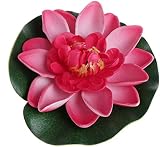 Xuniu Teichpflanze Hell-pink 10cm
