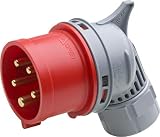 Meister CEE-Winkelstecker