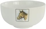 Boerenwinkel KOM Paard