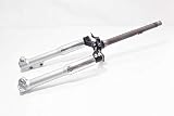 Gabel Piaggio für Liberty ZAPC491