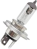 Motodak P2R (motorisiert) Glühlampe 12 V 35 W Standard HS1 Sockel PX43T weiß