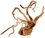 Croci Wurzel Legno Red Wood 50 bis 70 cm