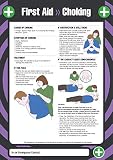 VSafety Sicherheitsposter Einheitsgröße