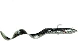 Savage Gear 4D Real EEL