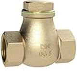 RIEGLER 158079-RK212RG Rückschlagklappe