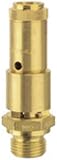 RIEGLER 154509-227.55-12,2 Sicherheitsventil DN 10