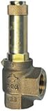 RIEGLER 131454-222.05-3,5 Eck-Sicherheitsventil