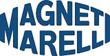 Magneti Marelli 211963000700 Carburetor 48 Dcoe S/P Applic