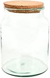 Halboffene Terrarium Flasche Glas 5L Pflanzen Deko Gewächs Haus Blumen Kork Haus