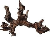 Amtra Legno Mystic Wood