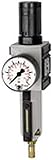 RIEGLER FU 6120-M-4 FUTURA Filterregler mit Metallbehälter
