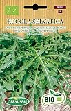 Germisem Rucola RUCOLA SELVATICA