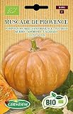 Germisem Kürbis MUSCADE DE PROVENCE ECBIO4004