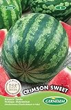 Wassermelone Crimson Sweet Mehrfarbig